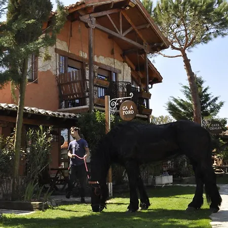 Hotel Jardin Hacienda Las Cavas 3* Olmedo