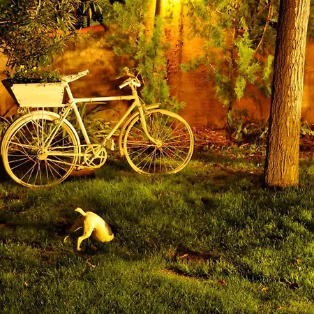 Hospedium Hacienda Cavas