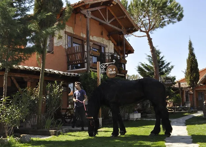 Hospedium Hacienda Cavas 3* 올메도