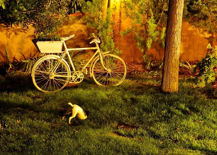 Hospedium Hacienda Cavas